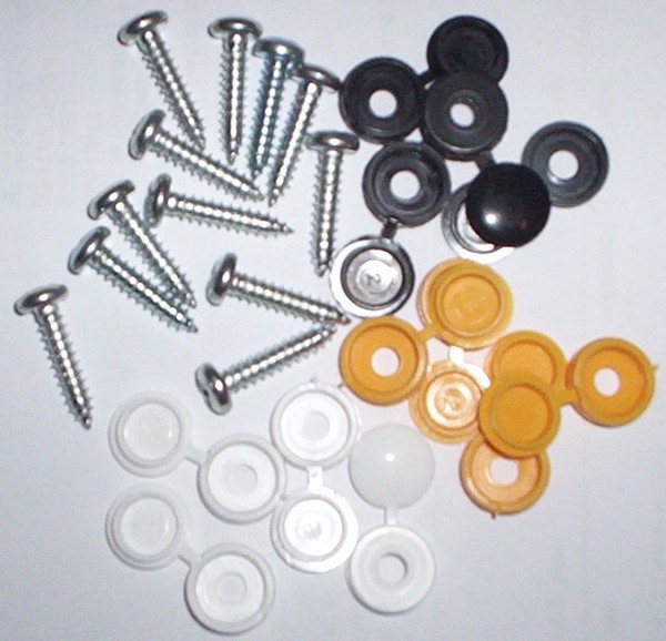 12 Self Tapping Screws with Plastic Caps